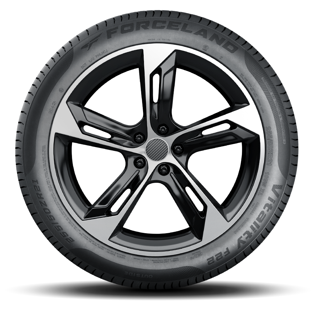 195/55R16 FORCELAND F22 VITALITY TYRE