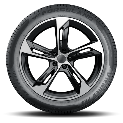 195/55R16 FORCELAND F22 VITALITY TYRE