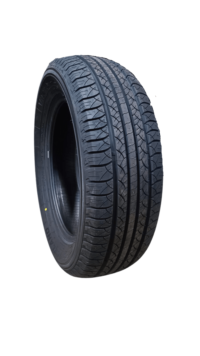235/55R18 Forceland Vitality F22